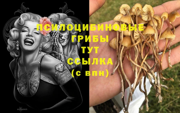 амфетамин Каменногорск
