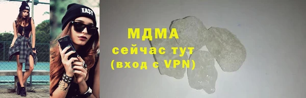 индика Инта