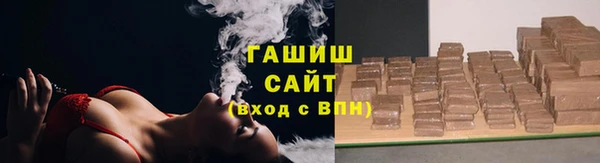 индика Инта