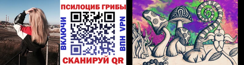 Галлюциногенные грибы Psilocybine cubensis  Купить где  Исилькуль 